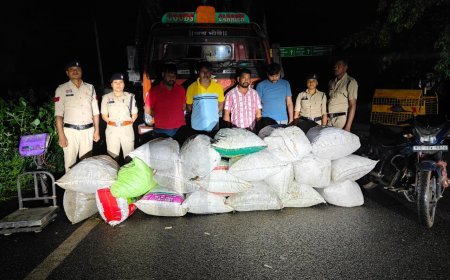 गरियाबंद में 4 करोड़ का गांजा जब्त, 5 तस्कर गिरफ्तार; मेटाडोर से 4 क्विंटल गांजा बरामद