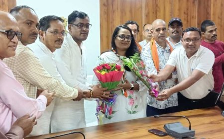 नवपदस्थ कलेक्टर तूलिका प्रजापति से छत्तीसगढ़ कुंभकार समाज 1322 के प्रतिनिधिमंडल ने की सौजन्य भेंट