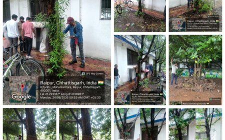 प्रोजेक्ट पुनर्जीवन महाभियान में तेजी, रायपुर में 2609 ट्री गार्ड और 1029 कांक्रीट पेवर हटाए गए