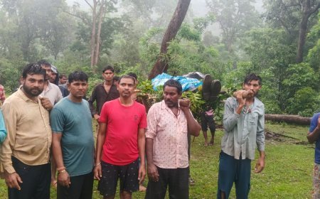 बाघ के हमले से युवक की मौत, इलाके में सनसनी