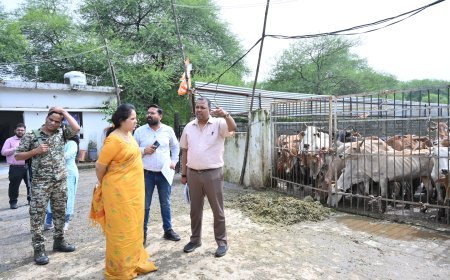 फुंडहर गौठान में क्षमता से दोगुने से अधिक गौवंश मिलने पर महापौर मीनल चौबे ने जताई नाराजगी, जांच के दिए निर्देश