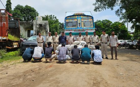 छिंदवाड़ा पुलिस की बड़ी कार्रवाई, 320.8 किलो गांजा और अवैध पिस्टल के साथ 7 अंतरराज्यीय तस्कर गिरफ्तार
