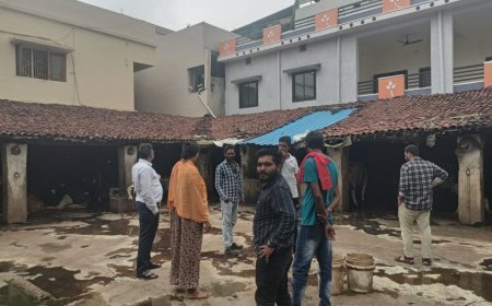 समता कॉलोनी और भैसथान में 4 डेयरियों पर कार्रवाई, 14 हजार रुपए का ई-जुर्माना