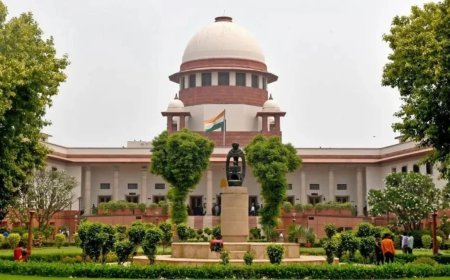 ‘कॉकरोच’ का 5 सितंबर मार्च रोकने से सुप्रीम कोर्ट का इनकार, CJI सूर्यकांत ने कानून-व्यवस्था पर दिया जोर