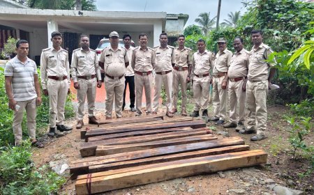गरियाबंद में सागौन की अवैध चिरान पर वन विभाग की बड़ी कार्रवाई, 21 नग लकड़ी जब्त