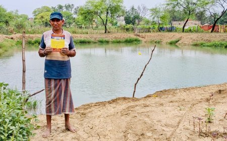 डबरी बनी रामभजन की समृद्धि का आधार, खेती के साथ मछली पालन से बढ़ी आय