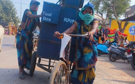 स्वच्छता बनी रोजगार का जरिया, कचरा संग्रहण से बिरकोना की बदली तस्वीर