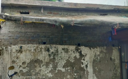 उभेगांव में फिश पार्लर निर्माण पर उठे सवाल, बाउंड्रीवाल पर ढांचा खड़ा करने का आरोप
