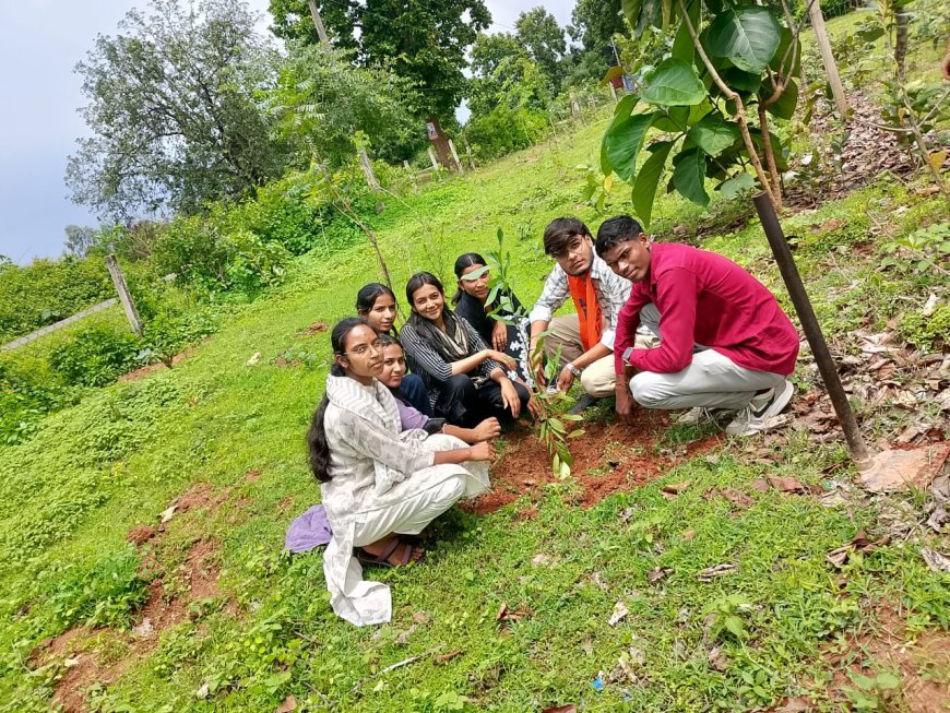 एबीवीपी मरवाही का ‘स्वच्छ परिसर–हरित परिसर’ अभियान, महाविद्यालय में स्वच्छता और वृक्षारोपण से दिया पर्यावरण संरक्षण का संदेश