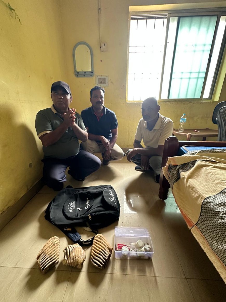 बलरामपुर में हाथी दांत तस्करी का भंडाफोड़, तीन अंतर्राज्यीय तस्कर गिरफ्तार