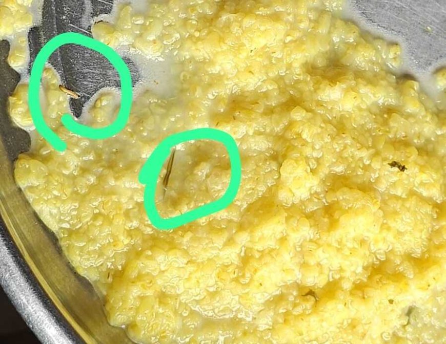 बेमेतरा मातृ-शिशु अस्पताल के दलिया में निकली इल्ली, पोषण आहार की गुणवत्ता पर उठे सवाल