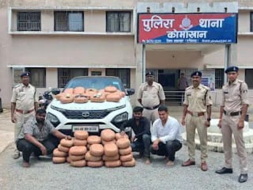 टाटा हैरियर कार से 114 किलो गांजा तस्करी नाकाम, महासमुंद पुलिस ने तीन अंतरराज्यीय तस्करों को दबोचा