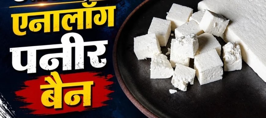 रेस्टोरेंट-डेयरी संचालकों पर नगर पालिका की सख्ती, एनालॉग पनीर मिला तो होगी कड़ी कार्रवाई