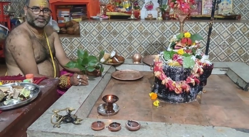 बचेली के राम मंदिर के पीछे जंगल में मिले 9 और 11 पत्तियों वाले अद्भुत बेलपत्र, श्रद्धालुओं में बढ़ा कौतूहल