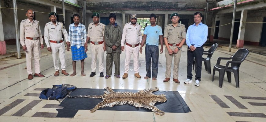 धौड़ाई में वन विभाग की बड़ी कार्रवाई, 3 आरोपियों से तेंदुए की खाल जब्त