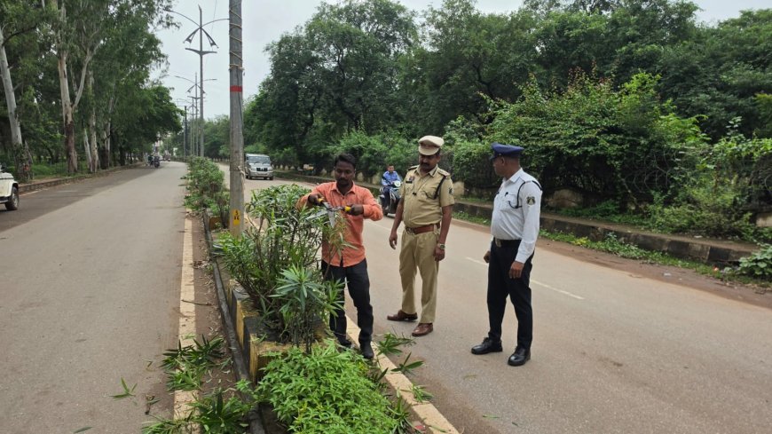 कलेक्ट्रेट रोड के डिवाइडर पर पौधों की छंटाई, यातायात पुलिस और नगरपालिका की संयुक्त पहल से बढ़ी सड़क की विजिबिलिटी