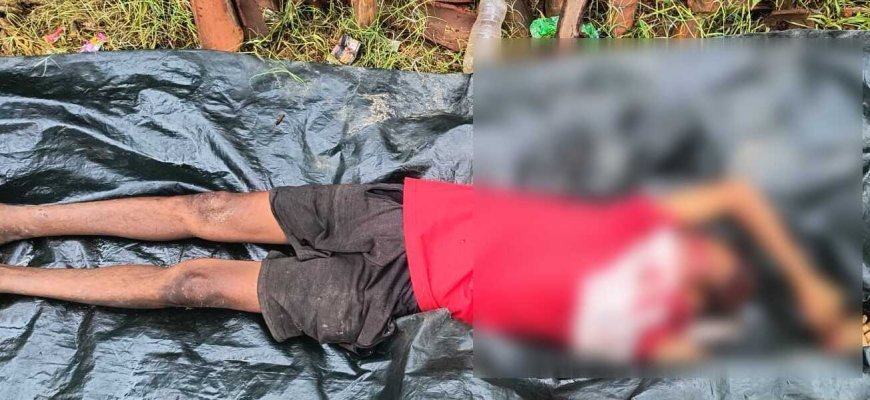 मैनपुर में कुल्हाड़ी लेकर युवक ने मचाया आतंक, हमले में ग्रामीण की मौत, एक घायल