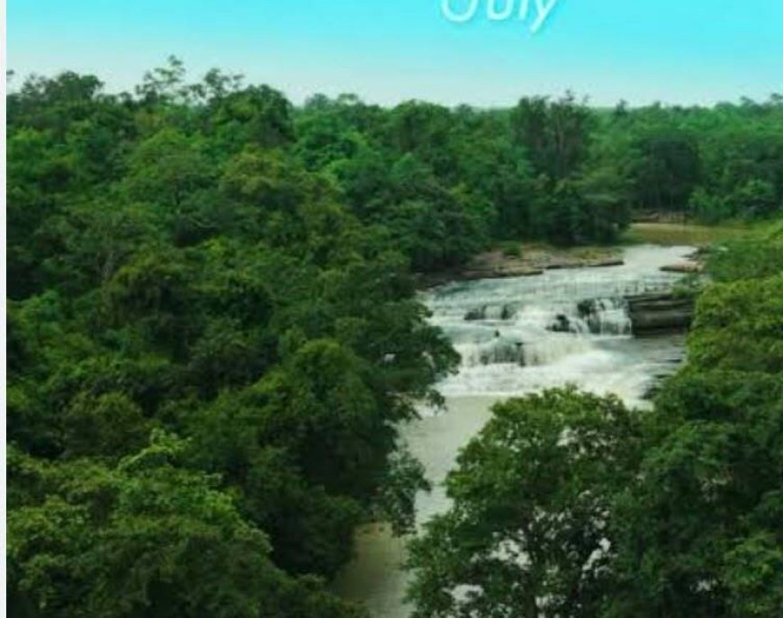 धमतरी जिले में अब तक 783.5 मिमी औसत वर्षा, नगरी में सबसे ज्यादा 878.2 मिमी बारिश दर्ज