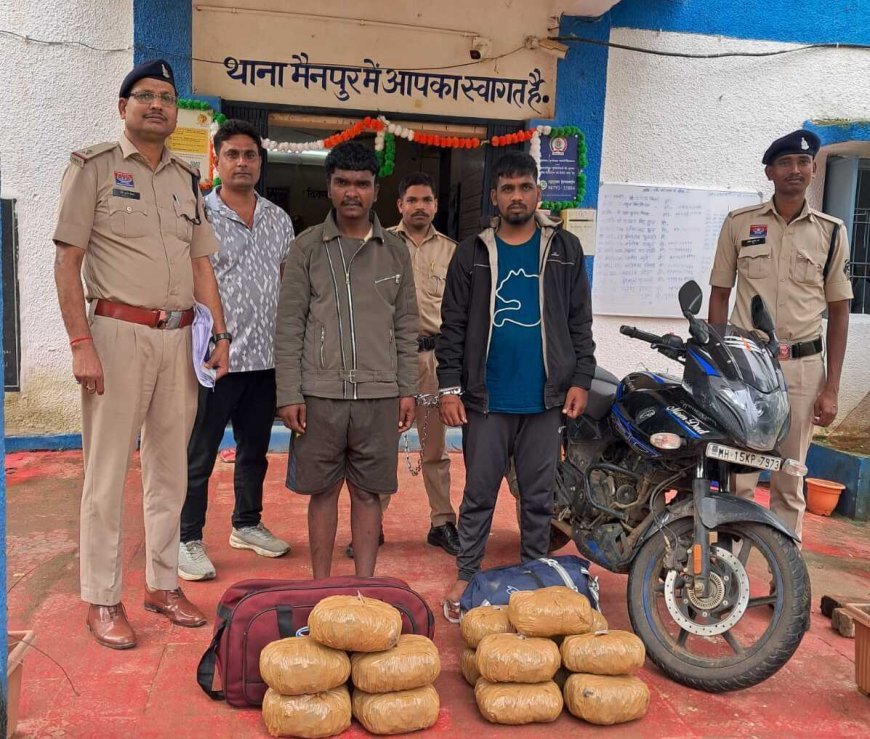 मैनपुर पुलिस ने 7.72 लाख रुपये के गांजे के साथ महाराष्ट्र के दो तस्करों को पकड़ा, 15.44 किलो गांजा जब्त