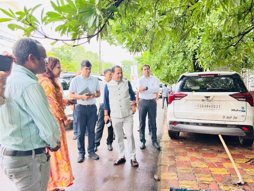रायपुर में प्रोजेक्ट पुनर्जीवन महाभियान तेज, 2302 स्थानों से ट्री गार्ड और 571 जगहों से कांक्रीट घेरे हटाए गए