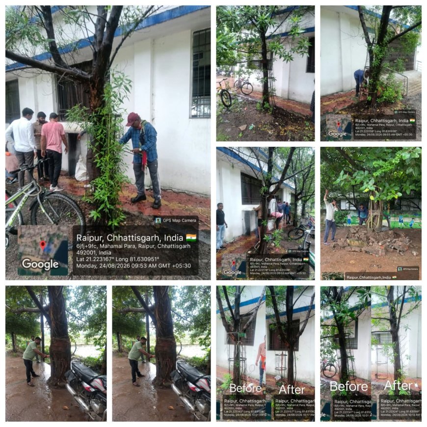 प्रोजेक्ट पुनर्जीवन महाभियान में तेजी, रायपुर में 2609 ट्री गार्ड और 1029 कांक्रीट पेवर हटाए गए