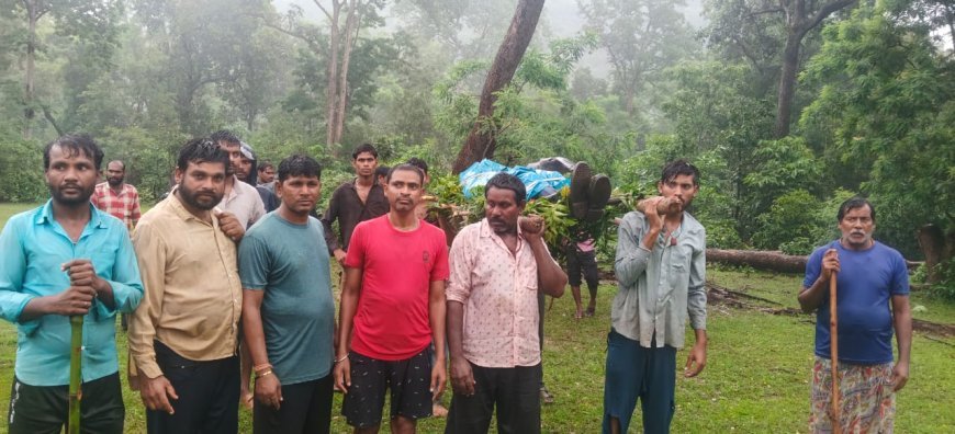 बाघ के हमले से युवक की मौत, इलाके में सनसनी