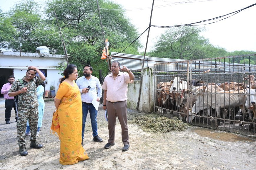 फुंडहर गौठान में क्षमता से दोगुने से अधिक गौवंश मिलने पर महापौर मीनल चौबे ने जताई नाराजगी, जांच के दिए निर्देश