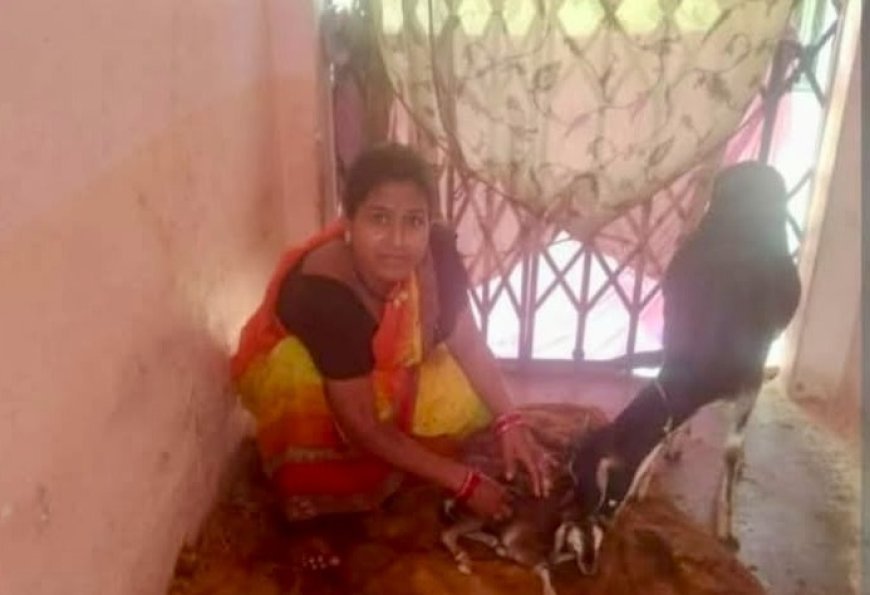 विष्णु भइया के सहयोग से दुर्गा बनीं लखपति दीदी, पशुपालन और मछली पालन से संवारा परिवार का भविष्य