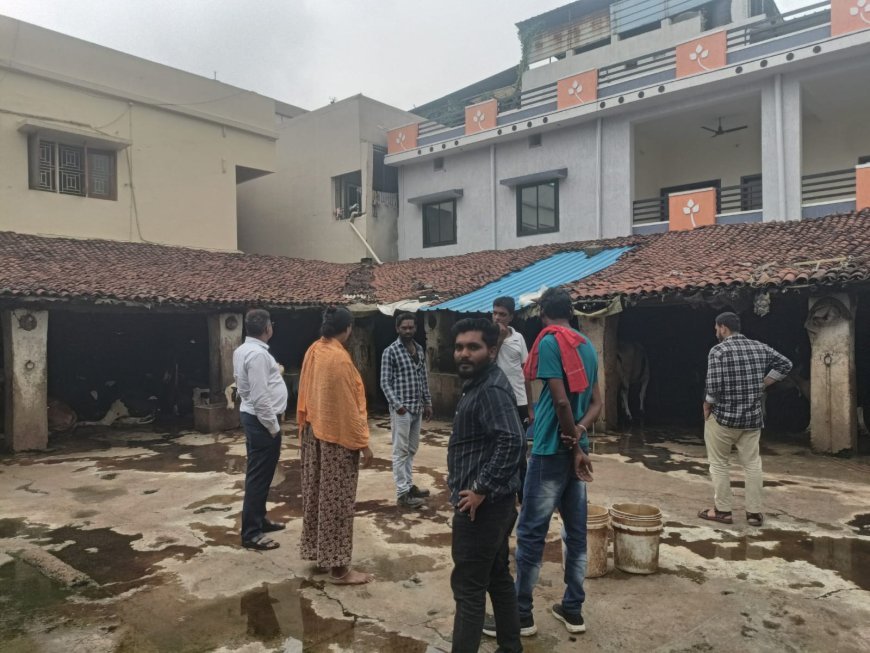 समता कॉलोनी और भैसथान में 4 डेयरियों पर कार्रवाई, 14 हजार रुपए का ई-जुर्माना