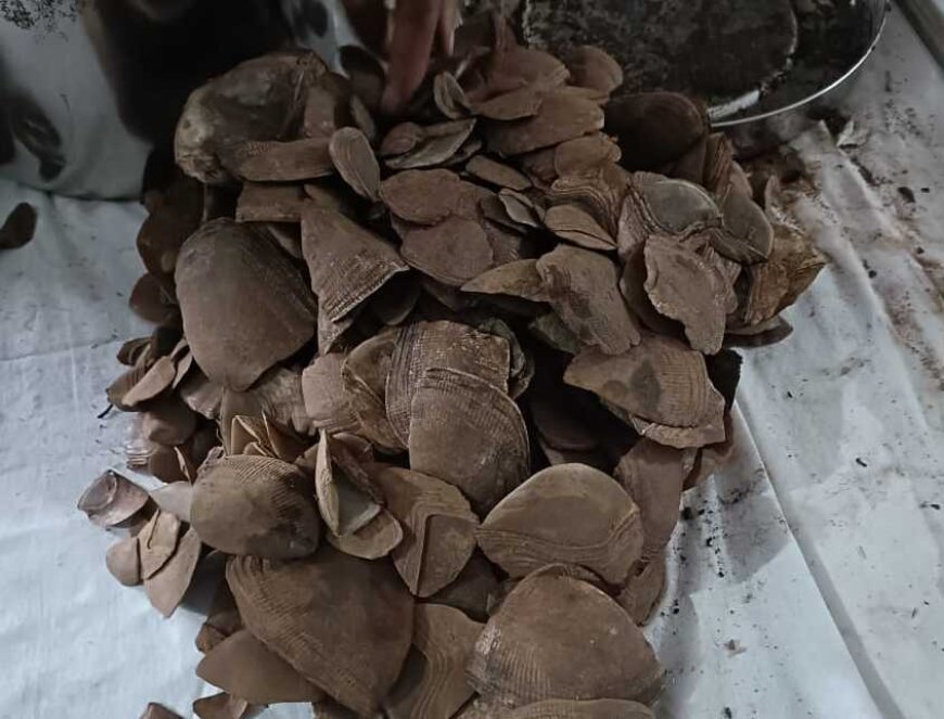 छोटेबेठिया के मोरखण्डी जंगल में नक्सल डम्प बरामद, पैंगोलिन शल्क सहित नक्सली सामग्री जब्त