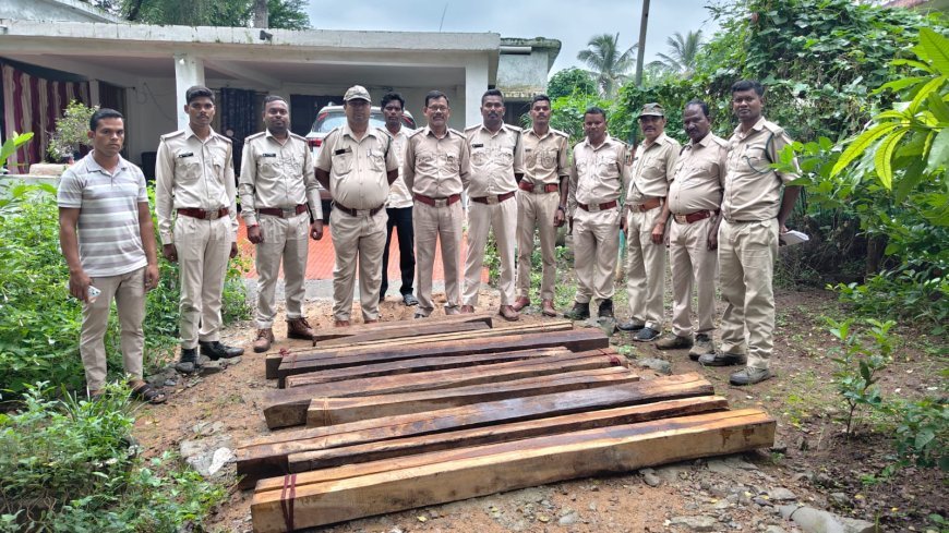 गरियाबंद में सागौन की अवैध चिरान पर वन विभाग की बड़ी कार्रवाई, 21 नग लकड़ी जब्त