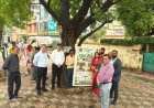 प्रोजेक्ट पुनर्जीवन के तहत पेड़ों से कांक्रीट घेरे और ट्री गार्ड हटाने का निरीक्षण