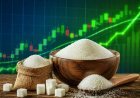 Sugar Stocks: अगस्त में चीनी शेयरों की धूम, 59% तक चढ़े स्टॉक्स, Avadh Sugar ने दिया सबसे ज्यादा रिटर्न