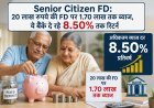 Senior Citizen FD: 20 लाख रुपये की FD पर 1.70 लाख तक ब्याज, ये बैंक दे रहे 8.50% तक रिटर्न