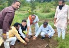 चांद मोक्षधाम में रोपे पौधे, 11 हजार से अधिक वृक्षारोपण का लिया महासंकल्प