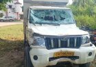 नगरी में भैंसों से भरी पिकअप पलटी, दो गिरफ्तार; दस्तावेज नहीं मिले