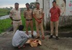 अवैध शराब बेचने वालों पर केसली पुलिस की कार्रवाई, तीन आरोपी गिरफ्तार