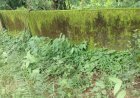 सावेर पंचायत में कथित भ्रष्टाचार के आरोप, ग्रामीणों ने जांच और कार्रवाई की मांग उठाई