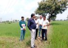 दुर्ग में डीसीएस सर्वे कार्यों का निरीक्षण, संयुक्त आयुक्त अतुल विश्वकर्मा ने अप्रूवल की गति बढ़ाने दिए निर्देश