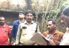 घर की बाउंड्री में उगा रखा था गांजा, चितरंगी पुलिस ने आरोपी को किया गिरफ्तार