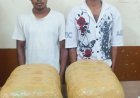 रायपुर में 18.33 किलो गांजा के साथ दो तस्कर गिरफ्तार, 9.36 लाख रुपए की जप्ती