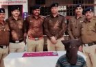 भोपाल में पूर्व DGP के बंगले से 7 लाख के जेवर चोरी, इलेक्ट्रिशियन हिरासत में; दूसरे घर में भी वारदात