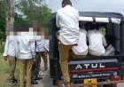 शहडोल में 5 सीटर ऑटो में 18 से ज्यादा स्कूली बच्चे, NH-43 पर ओवरलोडिंग का वीडियो वायरल