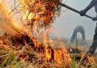 पराली जलाने पर अब कसेगा शिकंजा, खेत 15 महीने तक रहेगा रेड कैटेगरी में