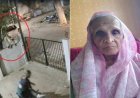 कर्नाटक में बंदर के धक्के से 91 वर्षीय महिला की मौत, CCTV में कैद हुई घटना