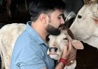 3 वर्षों से निरंतर जारी गौसेवा का संकल्प, घायल गौवंश के उपचार के लिए आमजन से सहयोग की अपील