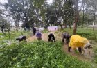 सेवा मेरा योगदान एवं स्वच्छता ही सेवा अभियान के तहत फरसगांव में चला विशेष स्वच्छता अभियान