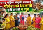 रायगढ़ में मारवाड़ी युवा मंच संस्कृति शाखा ने गोवंश को खिलाई हरी सब्जियां और गुड़