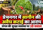 प्रेमनगर के जंगल में सागौन की कथित अवैध कटाई, ग्रामीणों ने वन विभाग से जांच की मांग की