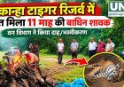 कान्हा टाइगर रिजर्व में 11 माह की बाघिन शावक मृत मिली, आपसी संघर्ष की आशंका